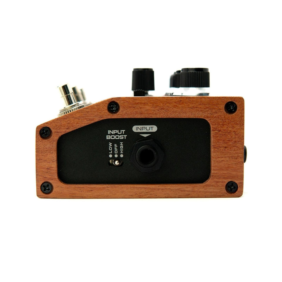 DSM Humboldt Dumbliﬁer Overdrive Special