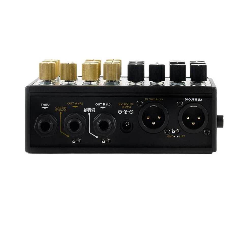 DSM/Humboldt Simplifier X