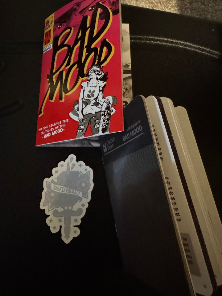 Chase Bliss Audio Bad Mood